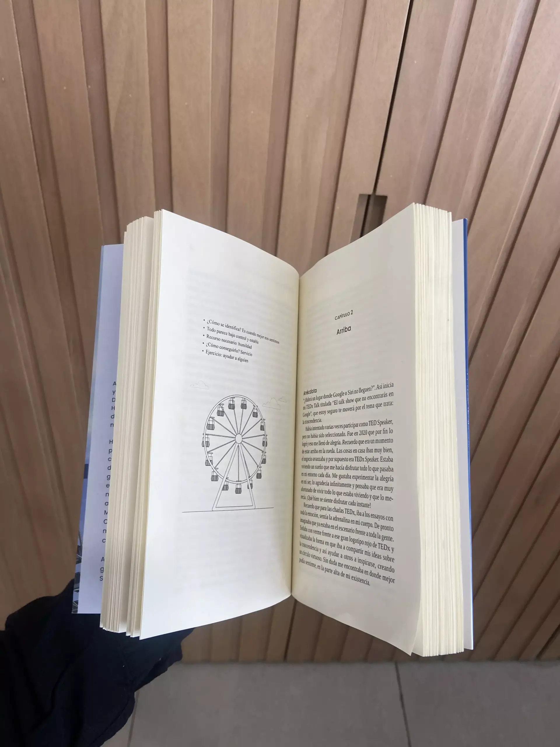 Libro La Rueda de la Fortuna