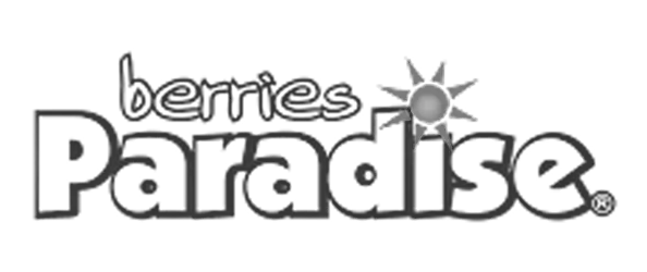 Berries Paradise
